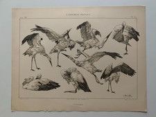 J.HABERT-DYS CHROMOLITHOGRAPHY