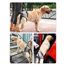 Hunde-Hinterbein-Hebegeschirr Unterstützung Reduziert Druck Verstellbares