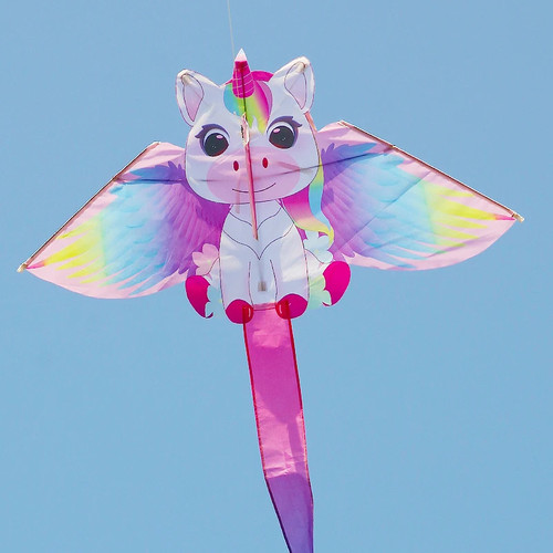 Einhorn drachen kinder - einhorn,