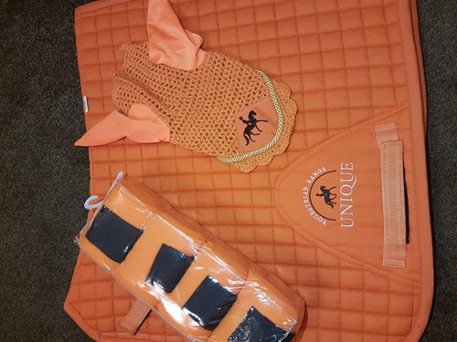 Sale unique equestrian - sale!!!!,
