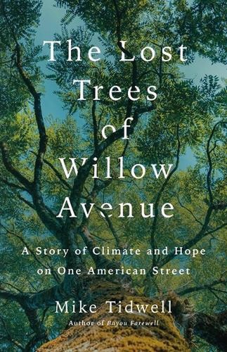 The lost trees willow - the, of