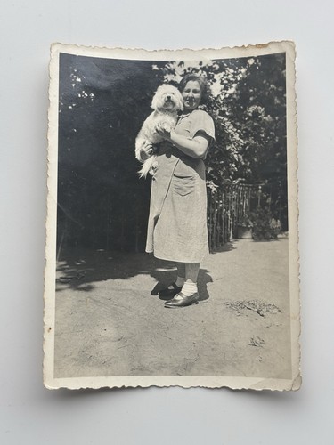 Vintage foto frau malteser - foto,