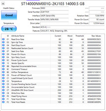 Seagate Exos X16 (7200RPM