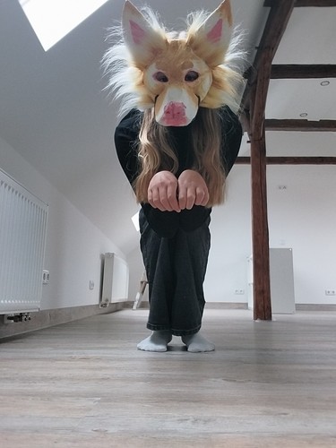 Therian golden husky maske - therian,