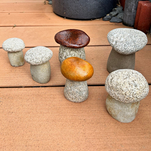 Granit pilze set stück - granit,