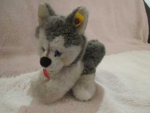 Steiff husky pummy 17 - steiff, "pummy"