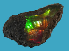 Ammolith , Edelstein, Carnites