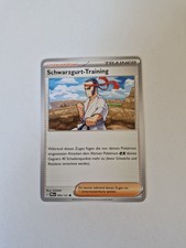 Schwarzgurt-Training 099/131 Common - Prismatische Entwicklungen PRE