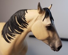 Modellpferd Resin Barrister's Bonanza Morgan Horse