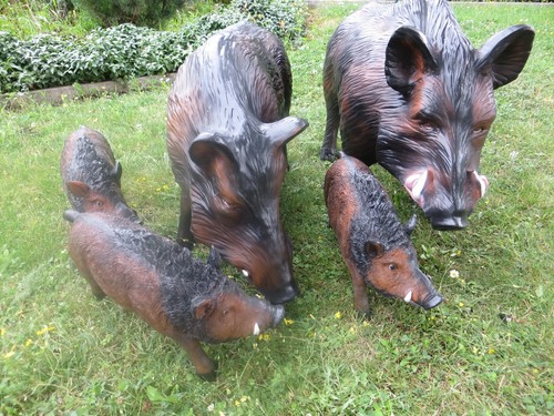 Wildschwein lebensgroß