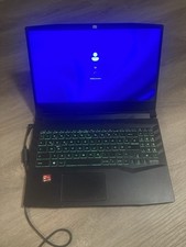 MSI Alpha 15 B5EEK Defekt!