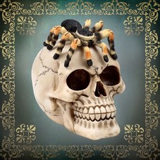 Halloween Totenkopf mit Spinne