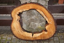 Baumscheibe Holzscheibe