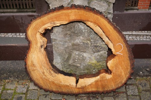 Baumscheibe holzscheibe - baumscheibe,
