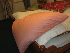 ROSA BALLONBETT BETT GUT