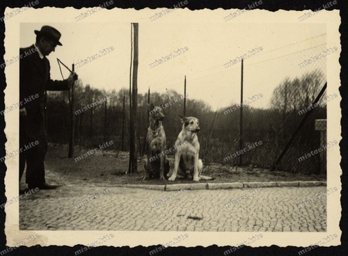 Foto-Stuttgart-Straße-Mann-Pe