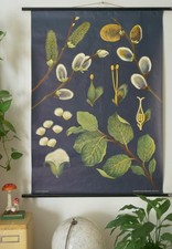 VINTAGE | SCHULWANDKARTE