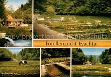 Eyach Eutingen Gaeu Forellenzucht Eyachtal Teilansichten