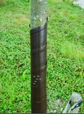 Baumspirale 5 Stck., Baum-Manschetten, Wildschutz, Wildverbiß, Baumschutz