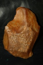 GIANT HOMO HEIDELBERGENSIS