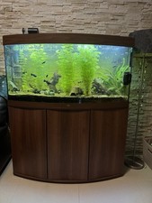 Juwel Aquarium Vision 260
