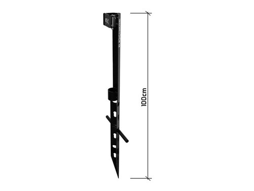 Delphin extreme wels waller - wels,