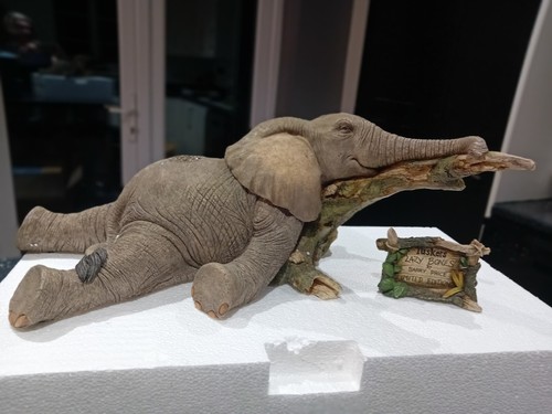 Tuskers elephants - tuskers,