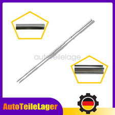 Türdichtung hinten unten für