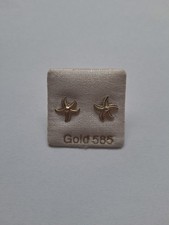 585 echt gold Ohrstecker Muschel Meer Seestern