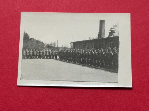 Foto arbeitsdienst 371 - foto,,