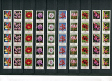 Bund BRD, Blumen Jahrgang 2014/2015  5er-Streifen mit Nummer postfrisch