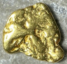 PURE GOLD NUGGET ALASKA YUKON