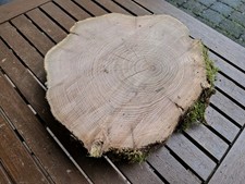 DEKO Baumscheibe AKAZIE Natur