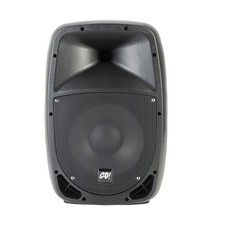 10" Passive Lautsprecher 480W