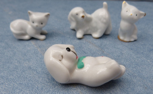 Miniaturen hunde 2 katzen - ,