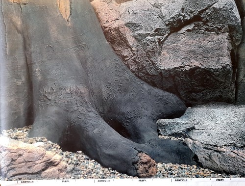Aquarium fotorückwand 130x48 - aquarium,