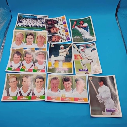 Panini cricket sticker - panini,