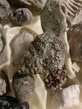 Steinsammlung unter anderen - steinsammlung,
