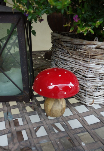 Pilz aus holz - holz, 10