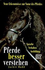 Pferde besser verstehen