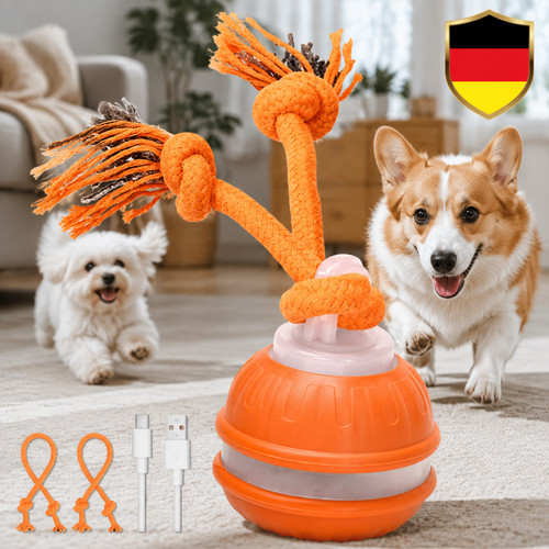 Interaktives hundespielzeug - interaktives,