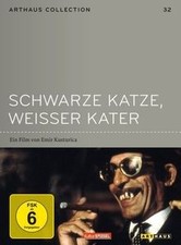 Schwarze Katze Weisser Kater -