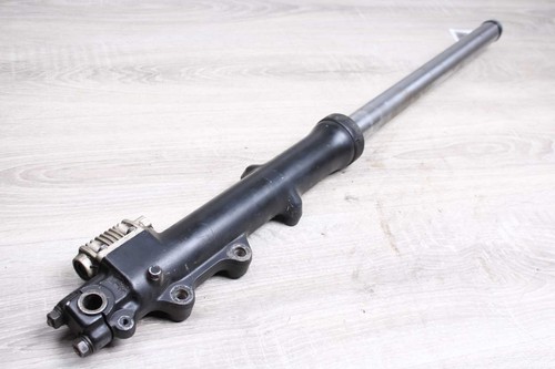Gabelholm vorn links suzuki - links,