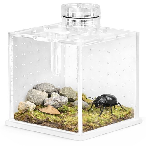 Terrario spidernook - terrario,