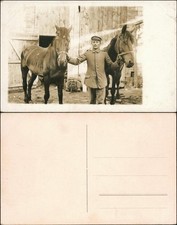 Ansichtskarte  Pferde, Soldaten - Gestütt 1918