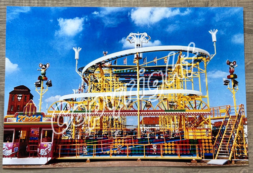 Xxl foto wilde maus - xxl,