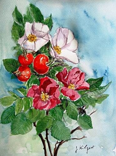 Blumenserie regenbogen art - blumenserie, regenbogen-art