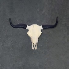 Deko Geweih FineBuy Büffel