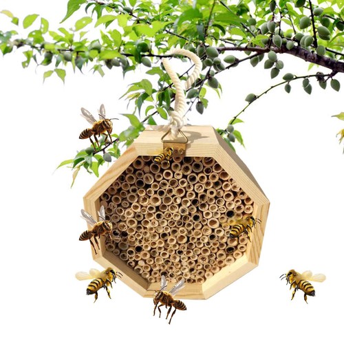 Bienenhotel holz bienenhaus - holz,