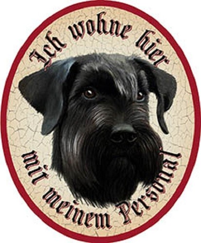 Hund riesenschnauzer ich wohne - hund,